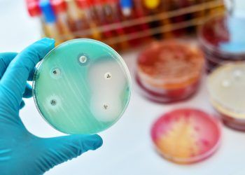 RH Saúde: Antibióticos – da descoberta às superbactérias