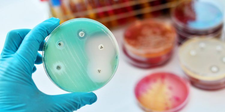 RH Saúde: Antibióticos – da descoberta às superbactérias