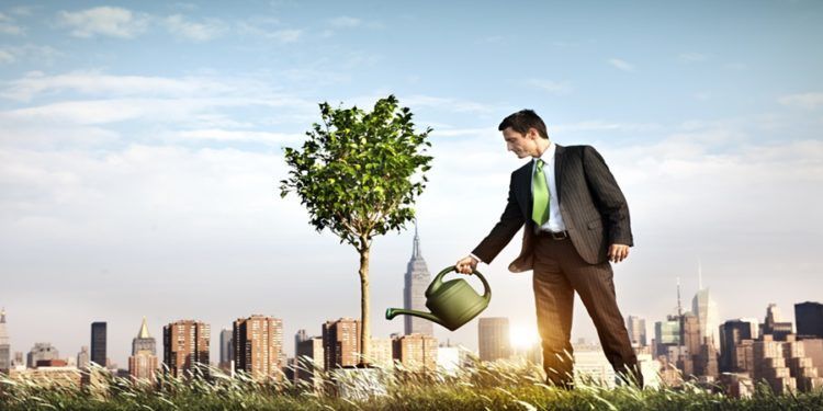 É um empreendedor visionário ou um empreendedor por acaso?