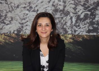 Elsa Carvalho é a nova diretora central de recursos humanos da CGD