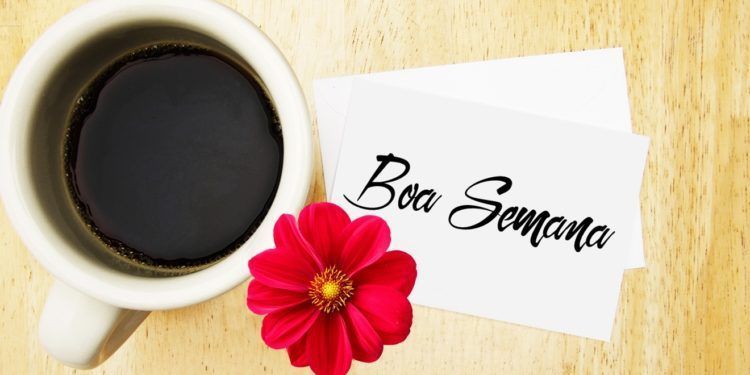 OPINIÃO: E vocês? São um raio de sol todas as segundas-feiras?