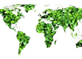 ESTUDO: Empresas não estão a contribuir o suficiente para os Objetivos de Desenvolvimento Sustentável, diz estudo global