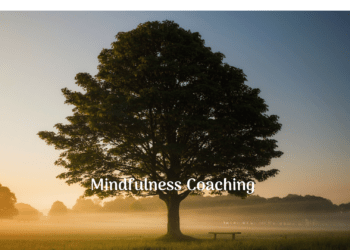 ARTIGO: Uma experiência de mindfulness & coaching