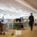 2019 prestes a bater recorde na constituição de novas empresas