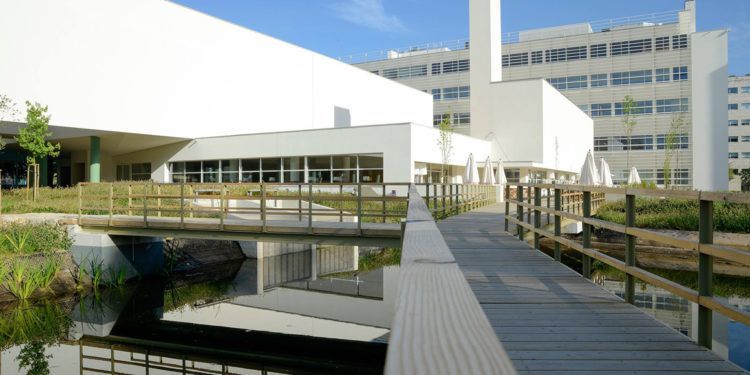 Trabalho, pessoas e aprendizagem: conheça o novo programa da Porto Business School