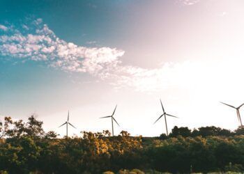 ARTIGO: Os Desafios da Sustentabilidade