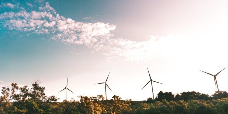 ARTIGO: Os Desafios da Sustentabilidade