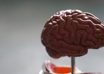 ARTIGO: Como equilibrar inteligência analítica e inteligência emocional por Melvin Smith, Ellen Van Oosten e Richard Boyatzis da Case Western