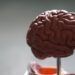 ARTIGO: Como equilibrar inteligência analítica e inteligência emocional por Melvin Smith, Ellen Van Oosten e Richard Boyatzis da Case Western