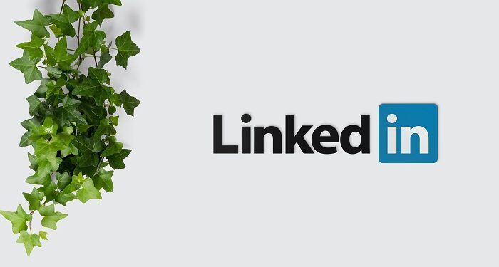 Esta é a nova ferramenta do LinkedIn que permite encontrar emprego e ainda melhorar competências