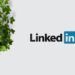 Esta é a nova ferramenta do LinkedIn que permite encontrar emprego e ainda melhorar competências