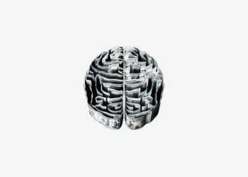 ARTIGO: O paradigma do Chefe Velhaco – a personificação da antítese da Inteligência Emocional