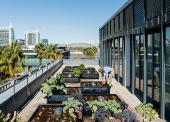 Voltar aos escritórios: e se as pausas fossem à volta da horta, e não da máquina do café?