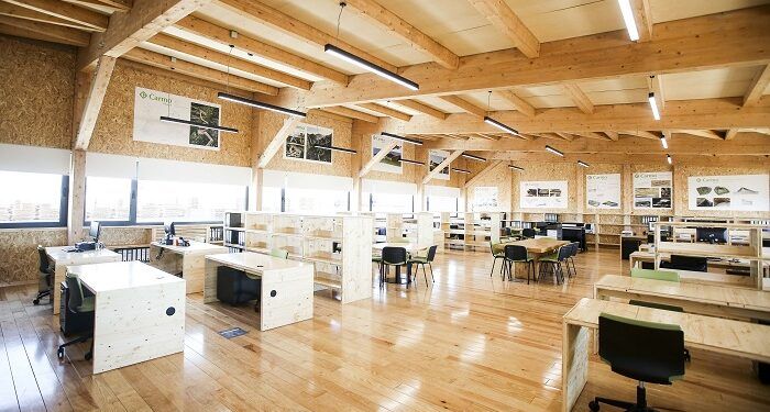 Espaços de trabalho sustentáveis: Carmo Wood lança mobiliário de escritório nacional e em madeira