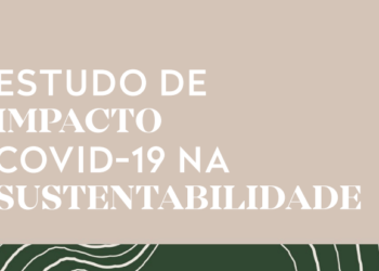 Empresas valorizam a sustentabilidade, mas não têm orçamento dedicado