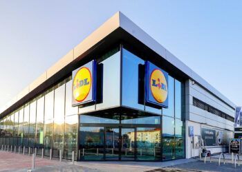 Lidl está a recrutar 150 colaboradores para as suas lojas na Madeira