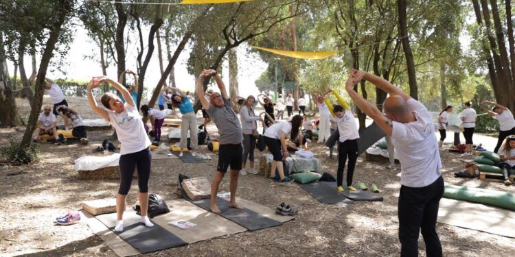 Wellbeing Games