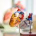 doenças cardiovasculares