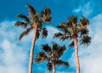 12 maneiras de trazer o verão para o escritório