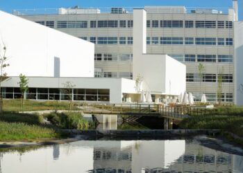 Porto Business School