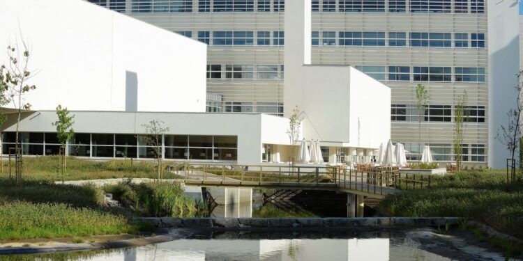 Porto Business School