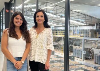 Caso Prático: Qualificar sem fuso horário