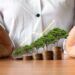 Green Economy