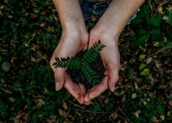sustentabilidade