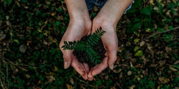 sustentabilidade