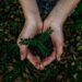 sustentabilidade