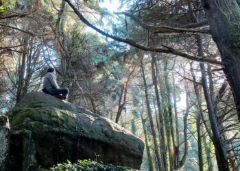 Renature