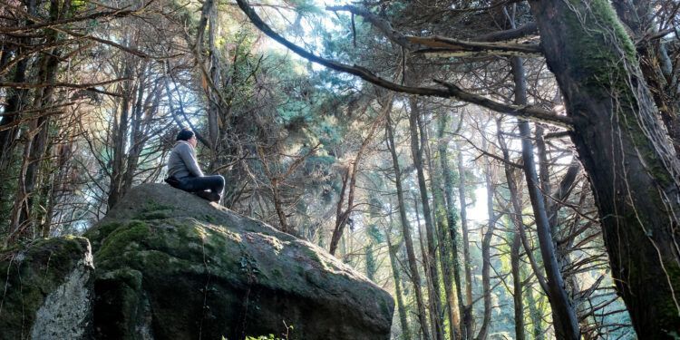 Renature