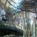 Renature