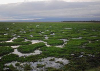 Qual será o impacto das alterações climáticas no futuro da segurança e saúde no trabalho?