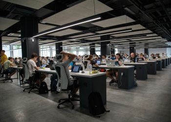Opensoft aposta no recrutamento de talento jovem