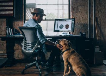 Artigo Técnico: Organizações pet-friendly: um princípio, ou um meio para um fim?