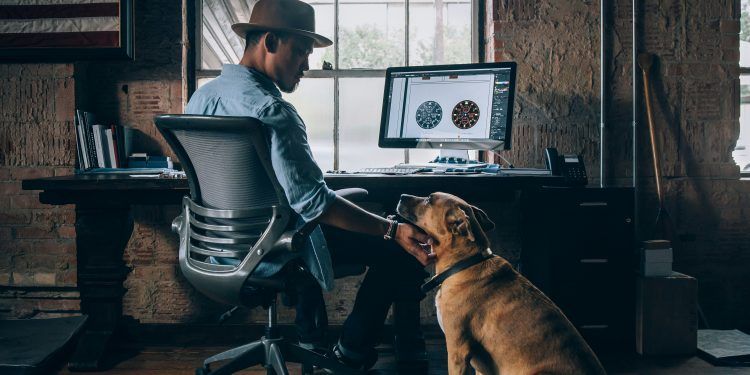 Artigo Técnico: Organizações pet-friendly: um princípio, ou um meio para um fim?