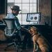 Artigo Técnico: Organizações pet-friendly: um princípio, ou um meio para um fim?
