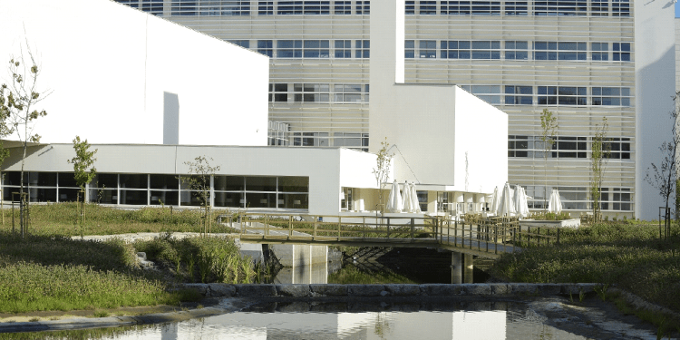 Women on Boards verá a 4ª edição na Porto BS