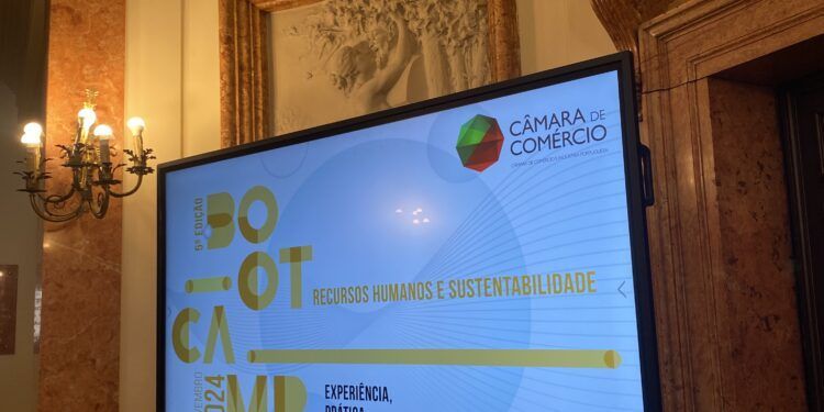 Bootcamp RH e Sustentabilidade: As principais conclusões