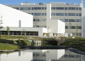 Ranking Mundial da Competitividade Digital: Portugal sobe uma posição