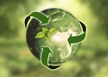 Nasce o maior grupo português de consultoria em sustentabilidade