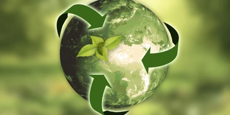 Nasce o maior grupo português de consultoria em sustentabilidade