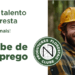 Navigator lança portal de recrutamento para potenciar qualificação do sector