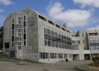 Sustentabilidade nas empresas: ISQ e Católica lançam formação gratuita
