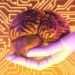Porto recebe 2.º Sword AI Summit com líderes da OpenAI, Meta e Google
